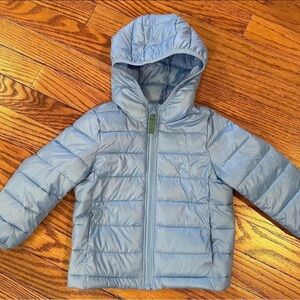 Primary Baby/Toddler Puffer Jacket with Hood